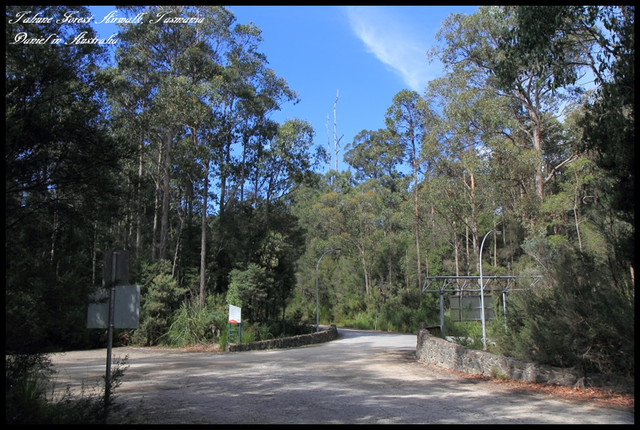 【澳洲塔斯馬尼亞】Tahune Forest Airwalk 塔胡恩天空步道 尋找再一次心跳的聲音 @小盛的流浪旅程