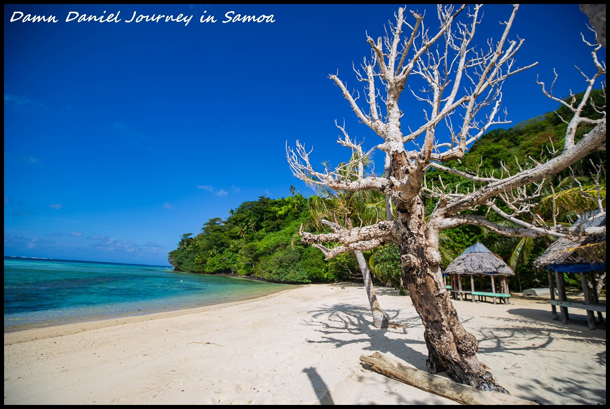 [薩摩亞] 南洋島國獨樹一幟的&#8221;坐大腿&#8221;文化 &#038; 遺世獨立的悠閒小島民宿 Namua Island Beach Fale @小盛的流浪旅程