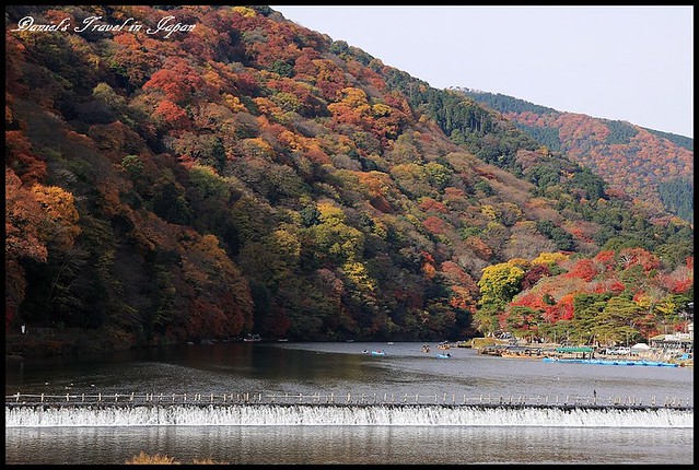 【日本京都】嵐山優美壯闊的賞楓一日行  竹之林、保津峽&#038;嵐山小火車之旅 @小盛的流浪旅程