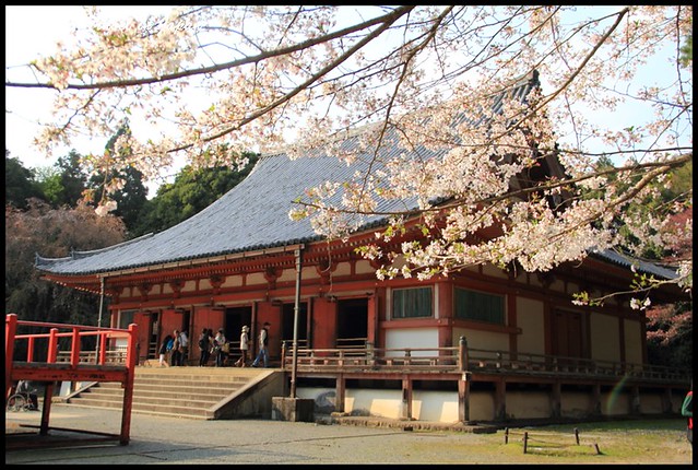 【日本京都】世界文化遺產醍醐寺 壯觀絕美的賞櫻名所 @小盛的流浪旅程