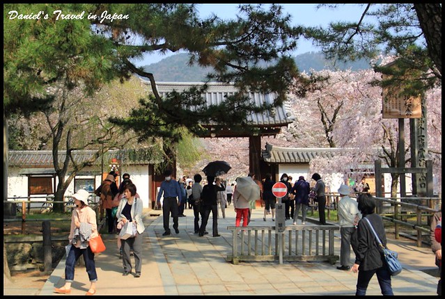 【日本京都】世界文化遺產醍醐寺 壯觀絕美的賞櫻名所 @小盛的流浪旅程