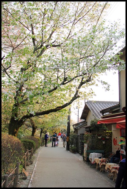 【日本京都】哲學之道 漫步於櫻花古道之中 感受思古之幽情 @小盛的流浪旅程