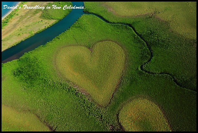 【新喀里多尼亞島】Voh輕航機初體驗 探索天然絕美的心形紅樹林沼澤 感受大自然的造物之奇 背包客Daniel推薦的私房秘境II @小盛的流浪旅程