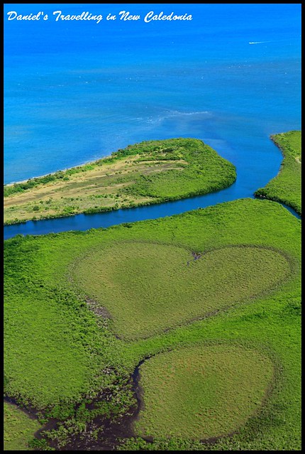 【新喀里多尼亞島】Voh輕航機初體驗 探索天然絕美的心形紅樹林沼澤 感受大自然的造物之奇 背包客Daniel推薦的私房秘境II @小盛的流浪旅程