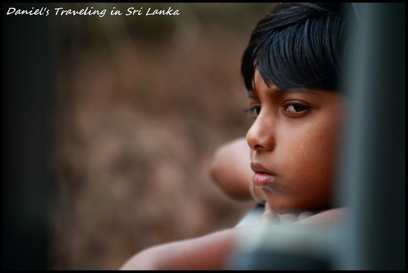[斯里蘭卡] 上班族也能環遊世界Part 1斯里蘭卡的7天旅行特輯懶人包 探訪絕美茶園、神秘千年石窟以及神聖佛教聖地 7天僅花21000 &#8211; 獲選為2019年寂寞星球最佳旅遊勝地 @小盛的流浪旅程
