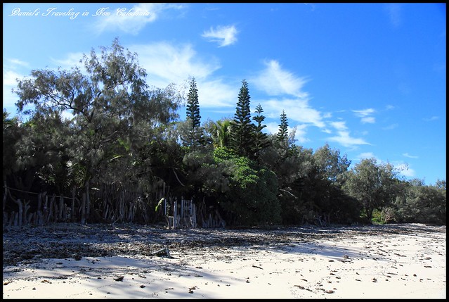 【新喀里多尼亞】松樹島Île des Pins露營記 專屬的私密海灘獨享、高檔的頂級蝸牛饗宴以及意外的母親節狂歡派對 @小盛的流浪旅程
