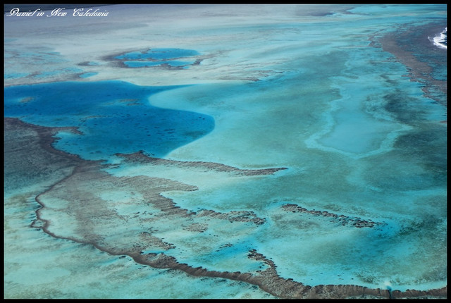 【南太平洋流浪旅程I】探索絕美心型紅樹林及環礁 法屬新喀里多尼亞 @小盛的流浪旅程