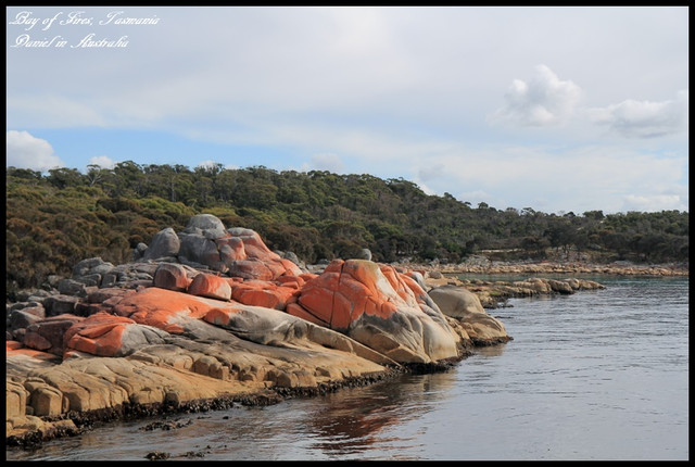 【澳洲塔斯馬尼亞】BAY OF FIRES火焰灣 橘紅外衣披覆下的天然景緻 @小盛的流浪旅程