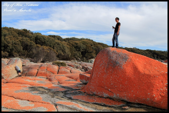 【澳洲塔斯馬尼亞】BAY OF FIRES火焰灣 橘紅外衣披覆下的天然景緻 @小盛的流浪旅程