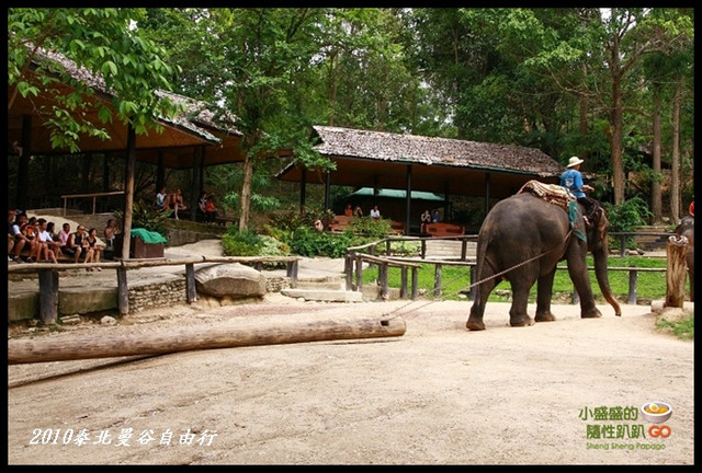 【泰國清邁】Mae Sa Elephant Camp湄沙大象營之大象絕技表演 @小盛的流浪旅程