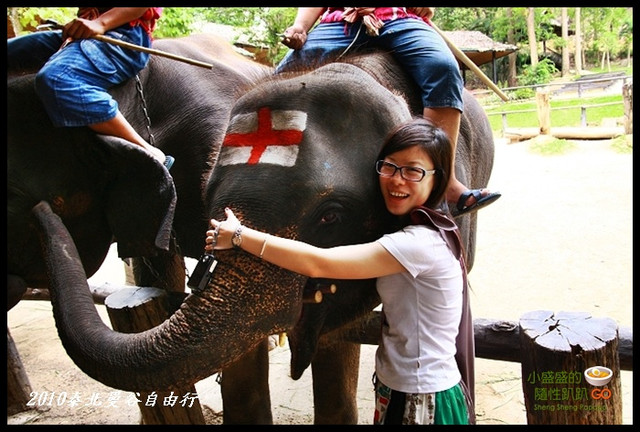 【泰國清邁】Mae Sa Elephant Camp湄沙大象營之大象絕技表演 @小盛的流浪旅程