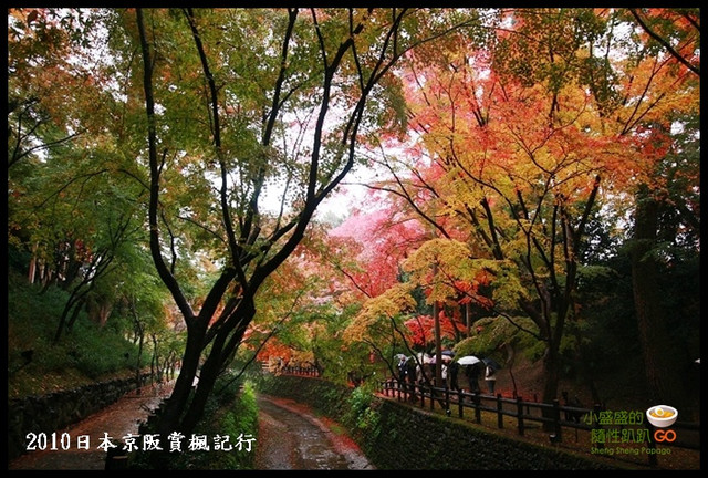 【日本京都】北野天滿宮旁之繽紛景緻 御土居賞楓記行 @小盛的流浪旅程