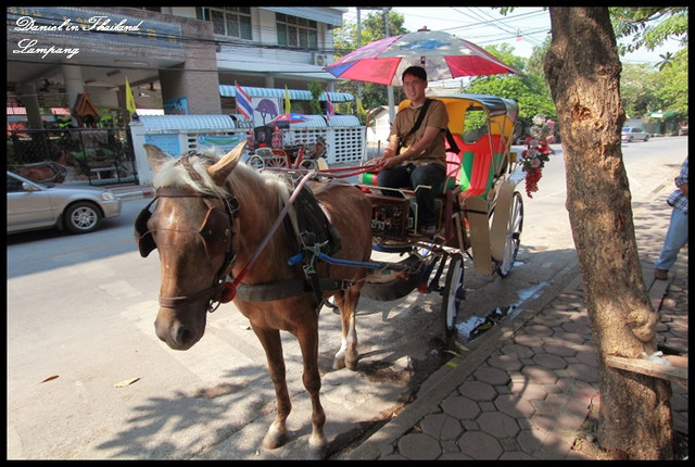 【泰國南邦】南邦傳統馬車風情 &#038; 緬甸風格寺廟Wat Phra Kaew Don Tao @小盛的流浪旅程