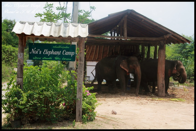 【泰國湄宏順】歷經生死一線間的大象之旅Noi&#39;s Elaphant Camp @小盛的流浪旅程