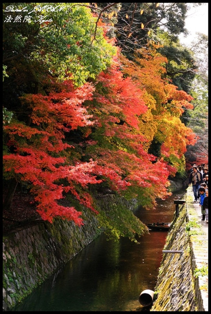 【日本京都】禪意與楓紅結合之美景 法然院&#038;哲學之道 @小盛的流浪旅程