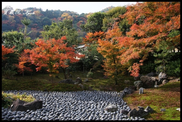 【日本京都】嵐山地區寧靜的賞楓名所 寶嚴院(宝厳院) @小盛的流浪旅程