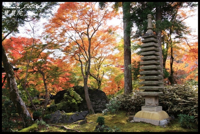 【日本京都】嵐山地區寧靜的賞楓名所 寶嚴院(宝厳院) @小盛的流浪旅程
